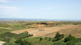 vega-carmona